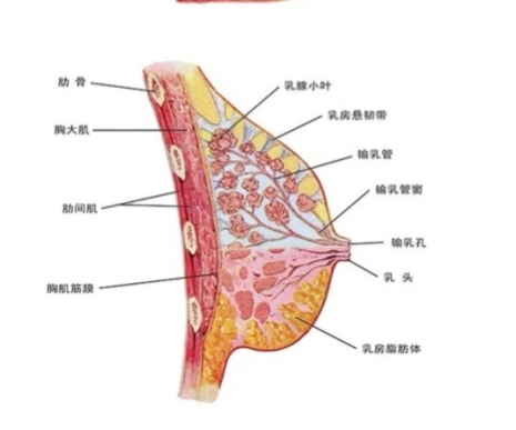 图片20.png