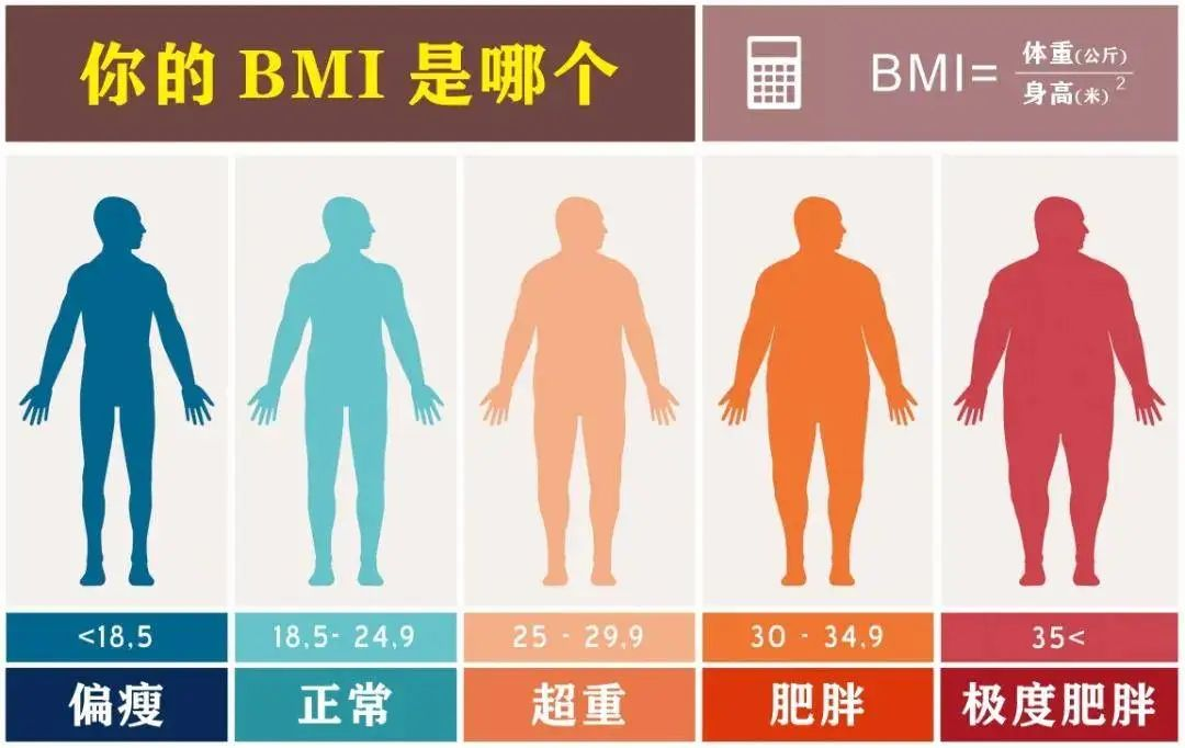 【健康科普】 肥胖那些事