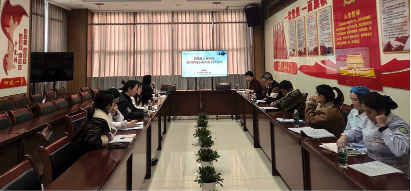 总结成效谋发展 深化专科促提升  ——开展专科护理小组年度工作会议